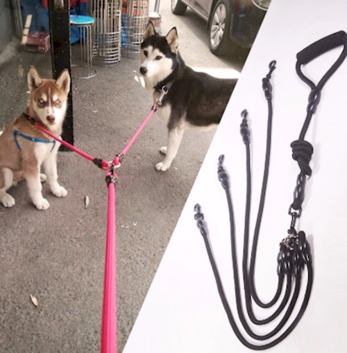 Dog leash