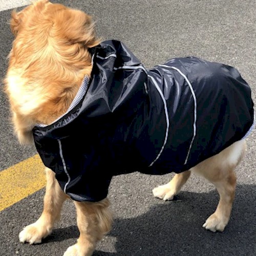 dog raining coat