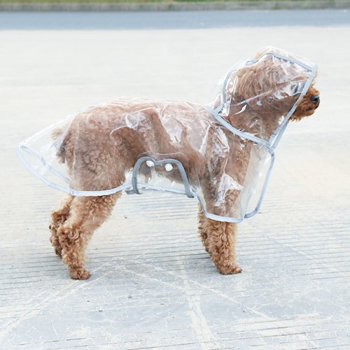 dog transparent raining coat